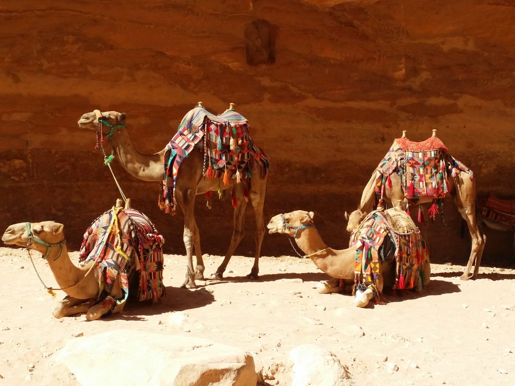 Un programma intenso, pensato per veri viaggiatori. L’itinerario vi porterà a scoprire i paesaggi, la storia millenaria e le testimonianze culturali della Giordania ed è condito da esperienze uniche come lo street food ad Amman, l’osservazione delle stelle (stargazing) nel deserto di Wadi Rhum, la condivisione del thé con i beduini delle Cave di Abu Ali, o il pranzo in famiglia nel villaggio di Orjan. Nella sosta sul Mar Rosso deciderete l’esperienza tra le tanti opzioni offerte, anche per lui e per lei! Il programma si svolge in forma privata ed esclusiva con i ritmi e le pause che riterrete necessari, una guida ed un autista a disposizione per il massimo godimento del viaggio. Il programma è fruibile anche in date diverse da quelle indicate ed è proposto con 2 soluzioni ricettive: lo charme e l’atmosfera di Boutique Hotels o la classe e il comfort degli alberghi di lusso.