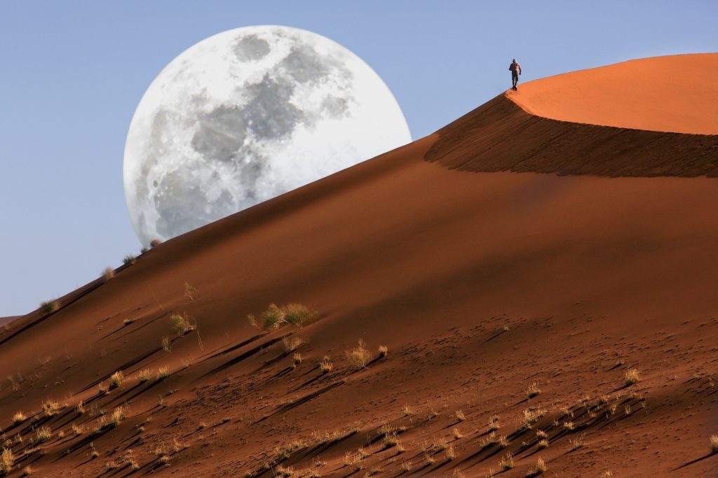 Con il nostro Fly&Drive avrai la possibilità di esplorare i punti di maggiore interesse della Namibia, come il più antico deserto del mondo, un maestoso e imponente oceano di sabbia, il Sossusvlei, il Sesriem Canyon, il Parco Nazionale del Waterberg, gli Himba e il Parco nazionale Etosha. Vivere l'Africa nera ‘on the road’ è senza dubbio un’esperienza unica, un viaggio che incarna alla perfezione il mito dell'Africa che hai sempre sognato….