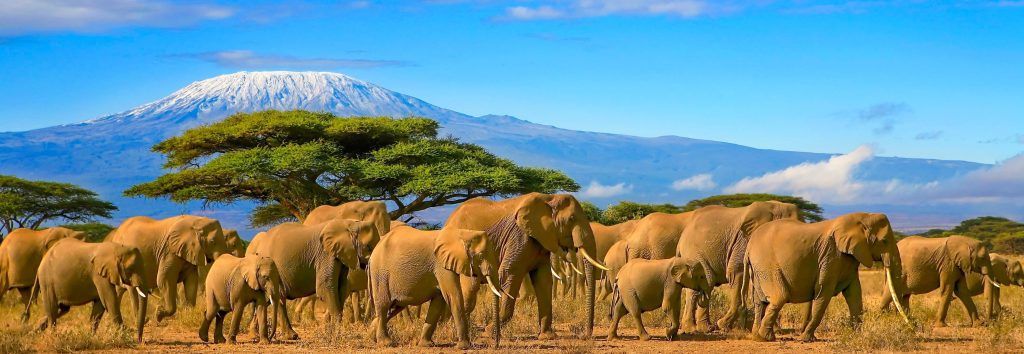 safari Tanzania differenza Serengeti Ngorongoro paesaggio