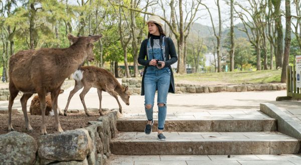 ridi-woman-looking-at-deer-through-park-in-nara-2025-01-09-04-17-40-utc