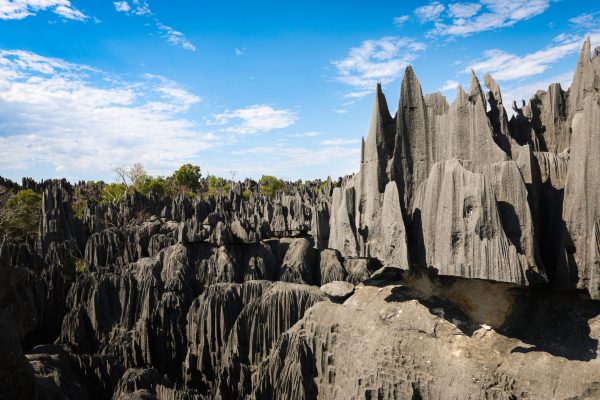 Visitors traverse the stunning limestone pinnacles of Tsingy de Bemaraha National Park in Madagascar, surrounded by dramatic rock formations and clear skies.