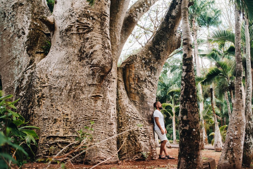 A man next to a baobab tree