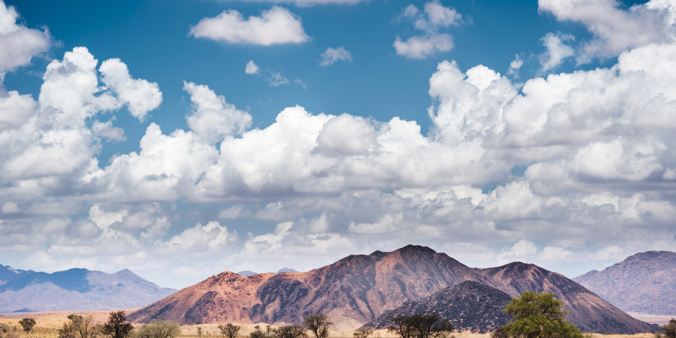 a-horizontal-shot-of-landscape-at-the-namib-desert-2026-01-11-10-10-18-utc