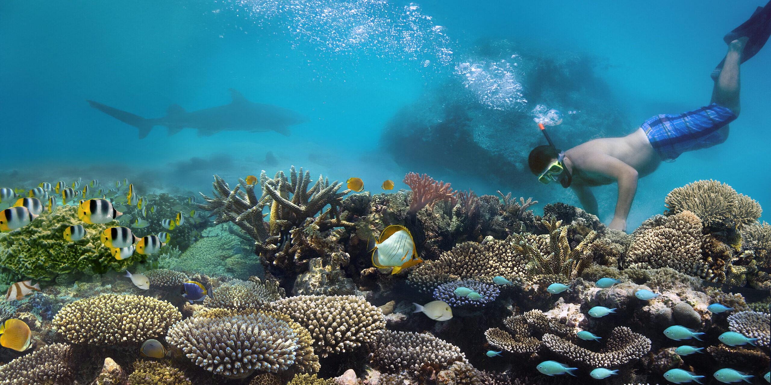 snorkeling e immersioni alle Maldive