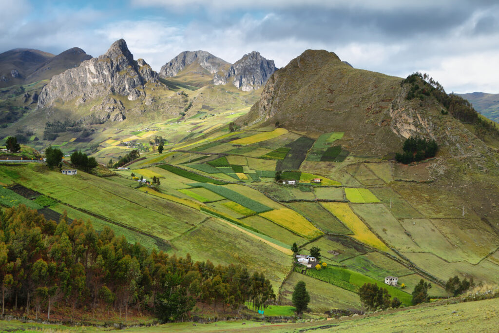 View of colorful terrace fields and scattering farms near Zumbahua village, Ecuador