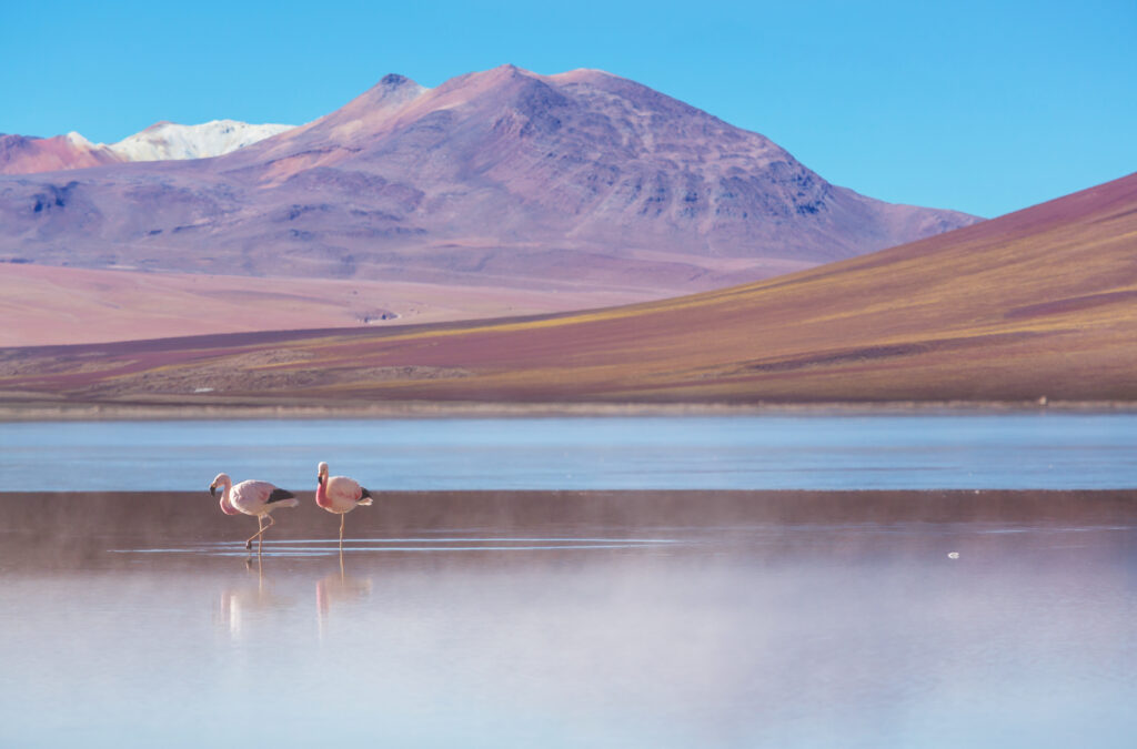viaggio in Bolivia altopiano montagne paesaggi